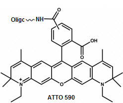 Bio-Synthesis Inc. Oligo Structure